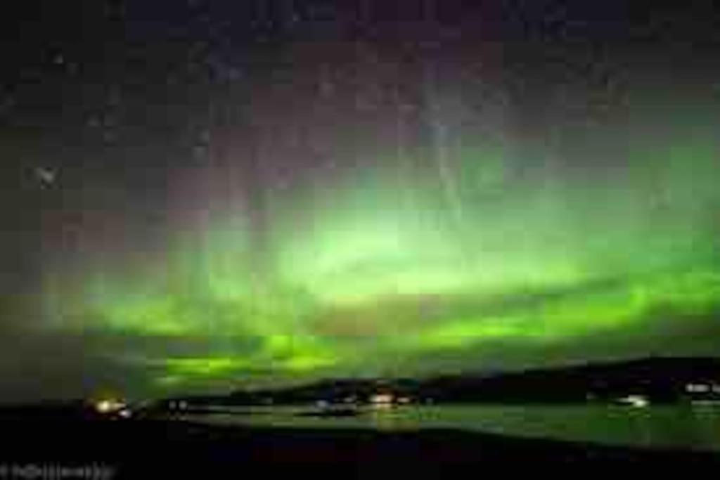 Studio Apartment Reykjavik City Center 外观 照片