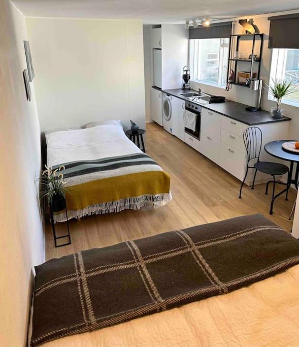 Studio Apartment Reykjavik City Center 外观 照片