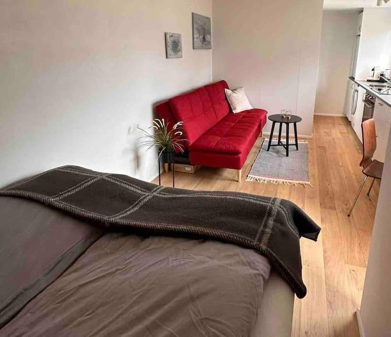 Studio Apartment Reykjavik City Center 外观 照片