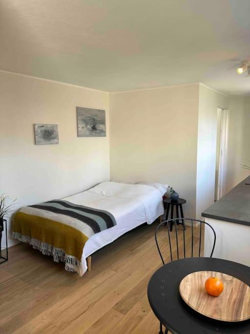 Studio Apartment Reykjavik City Center 外观 照片