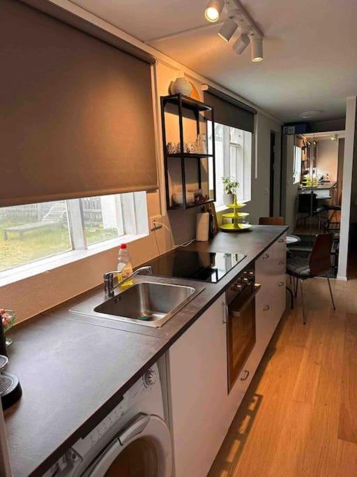 Studio Apartment Reykjavik City Center 外观 照片